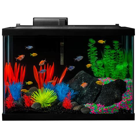 glofish tanks|where to buy glofish online.